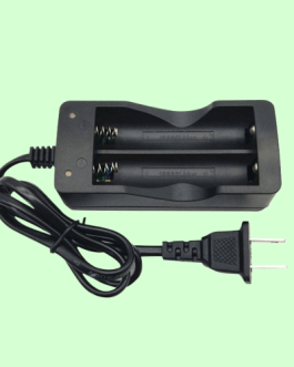 Lithium Battery Charger